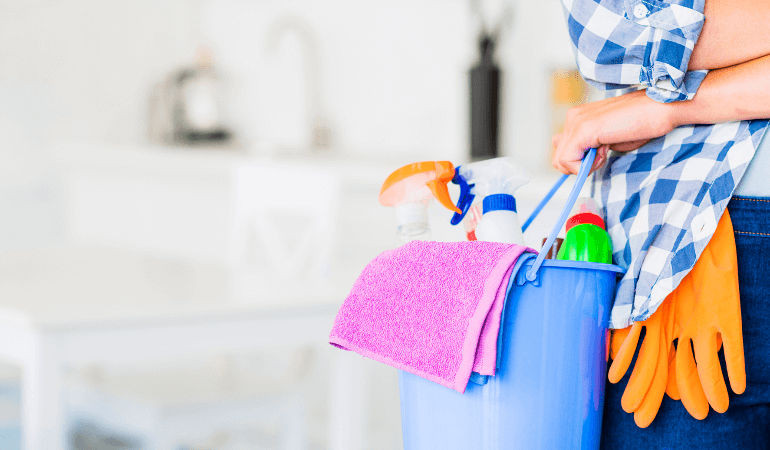 Ev Temizliği